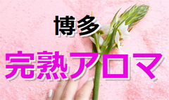 X܎ʐ^